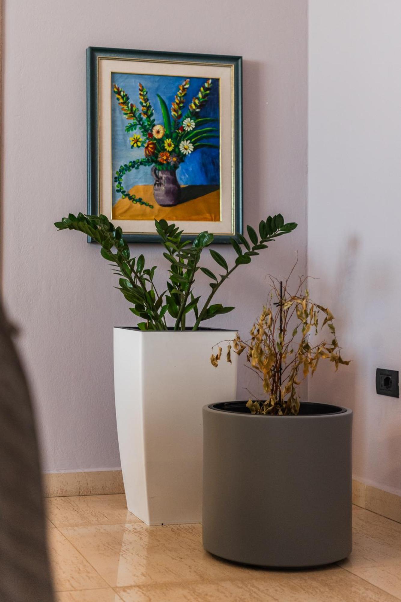 Main Square Apartment Драч Екстериор снимка